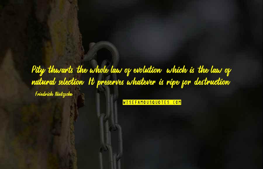 Thwarts Quotes By Friedrich Nietzsche: Pity thwarts the whole law of evolution, which