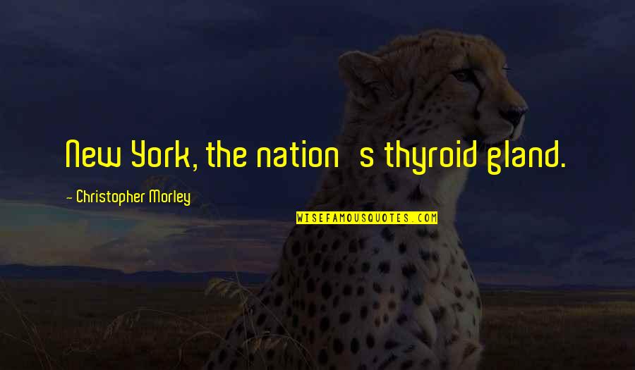 Thyroid Gland Quotes By Christopher Morley: New York, the nation's thyroid gland. Thyroid Gland Quotes By Christopher Morley: New York, the nation's thyroid gland.