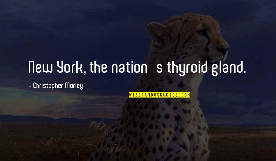 Thyroid Quotes By Christopher Morley: New York, the nation's thyroid gland.
