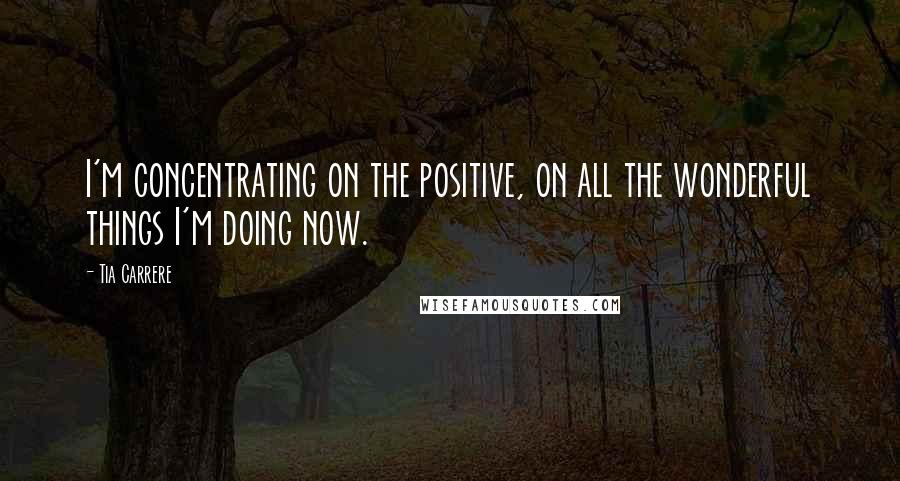 Tia Carrere quotes: I'm concentrating on the positive, on all the wonderful things I'm doing now.