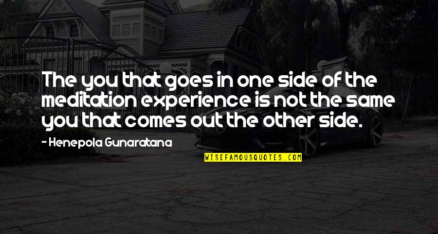 Tibatata Quotes By Henepola Gunaratana: The you that goes in one side of