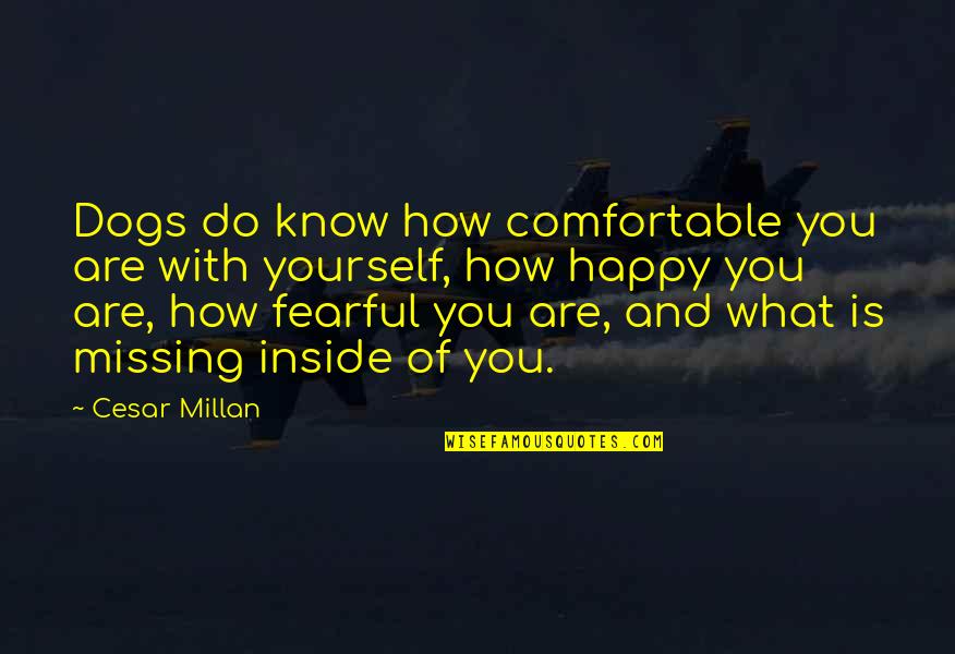 Tibbitt Gnomeo Quotes By Cesar Millan: Dogs do know how comfortable you are with Tibbitt Gnomeo Quotes By Cesar Millan: Dogs do know how comfortable you are with