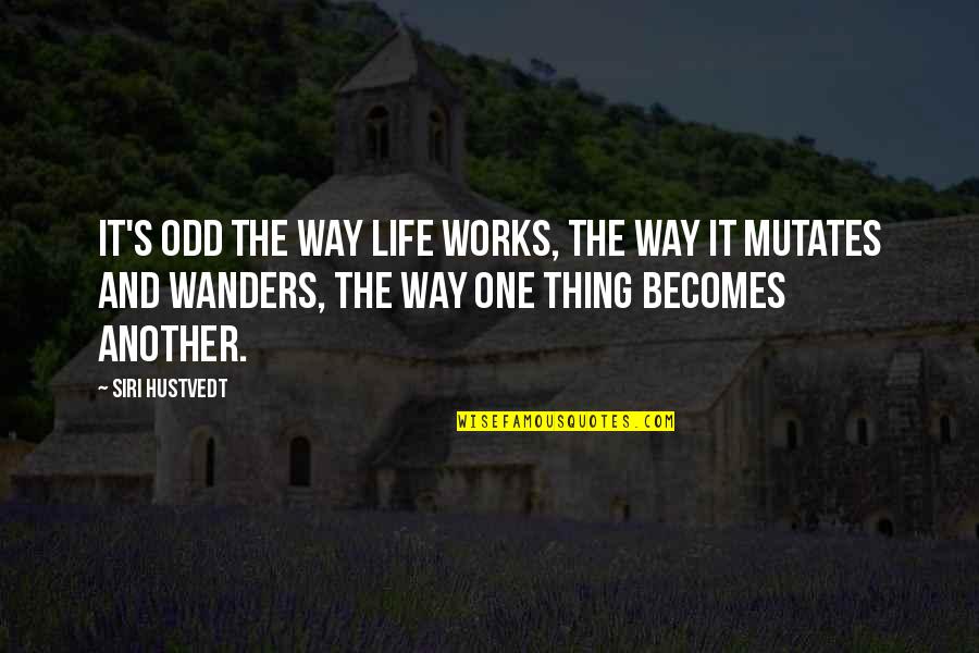 Tibenerfine Quotes By Siri Hustvedt: It's odd the way life works, the way Tibenerfine Quotes By Siri Hustvedt: It's odd the way life works, the way