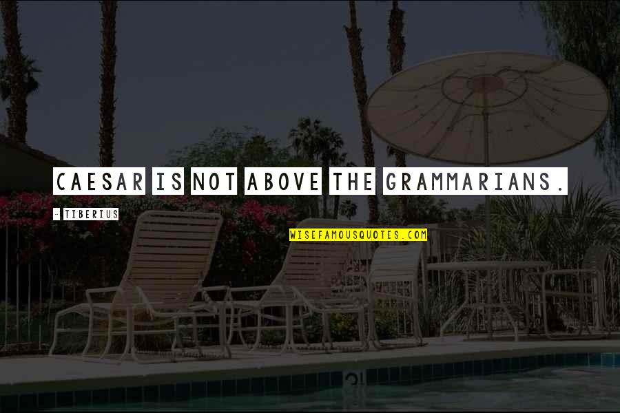 Tiberius Caesar Quotes By Tiberius: Caesar is not above the grammarians.