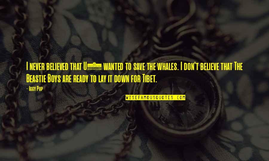 Tibet Best Quotes By Iggy Pop: I never believed that U2 wanted to save Tibet Best Quotes By Iggy Pop: I never believed that U2 wanted to save