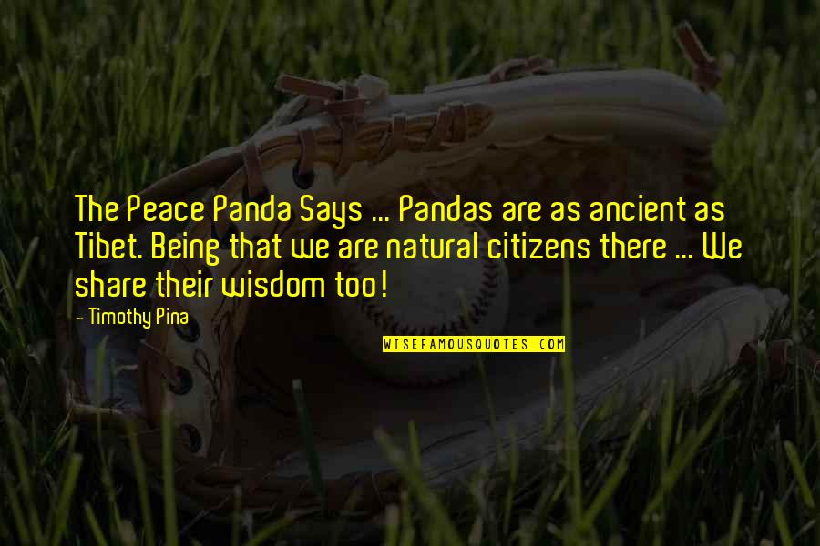 Tibet Quotes By Timothy Pina: The Peace Panda Says ... Pandas are as