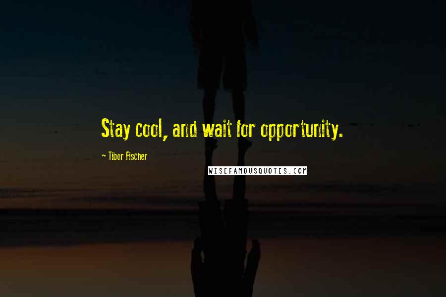 Tibor Fischer quotes: Stay cool, and wait for opportunity.