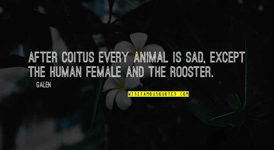 Tibourschrans Quotes By Galen: After coitus every animal is sad, except the