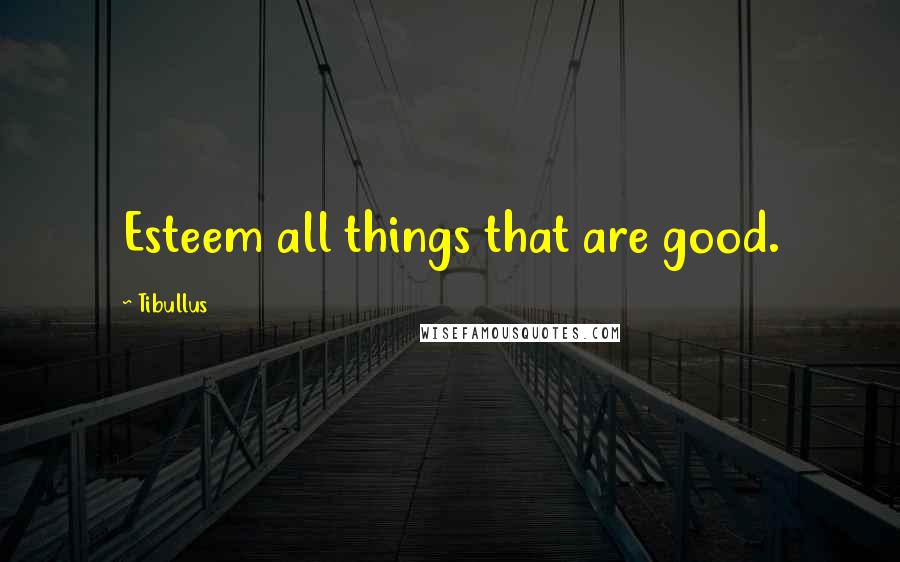 Tibullus quotes: Esteem all things that are good.