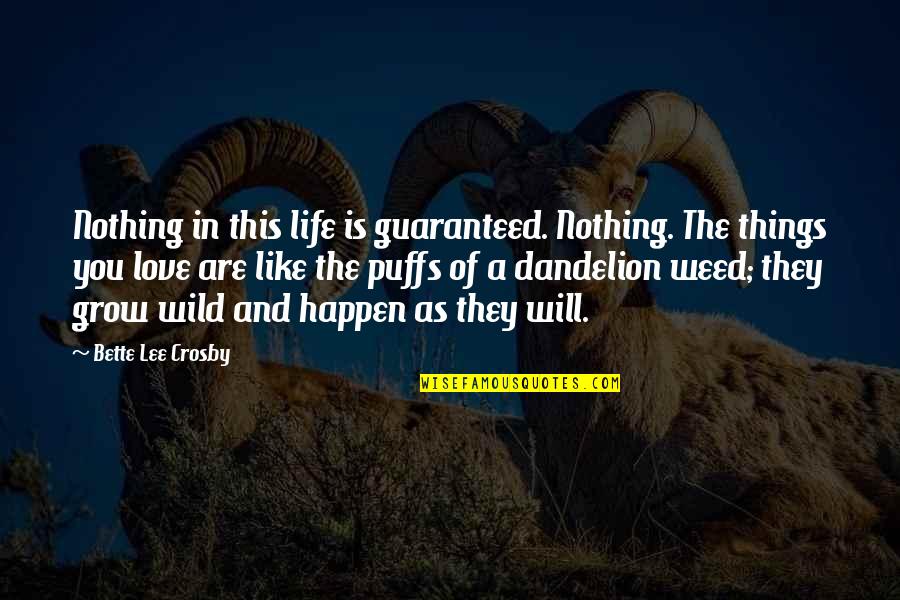Tiburnada Quotes By Bette Lee Crosby: Nothing in this life is guaranteed. Nothing. The