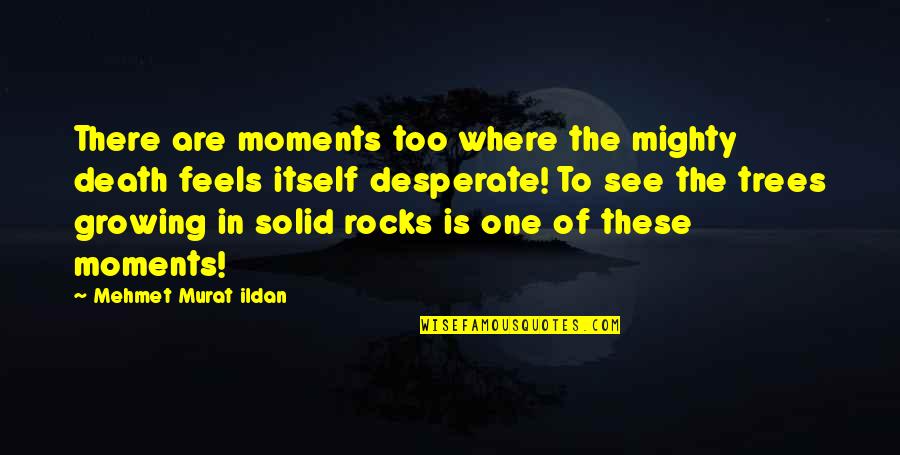 Ticiana Deluxe Quotes By Mehmet Murat Ildan: There are moments too where the mighty death Ticiana Deluxe Quotes By Mehmet Murat Ildan: There are moments too where the mighty death