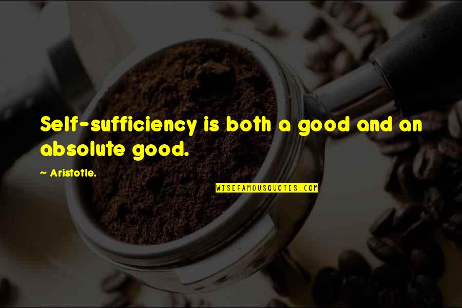 Tidally Didally Quotes By Aristotle.: Self-sufficiency is both a good and an absolute