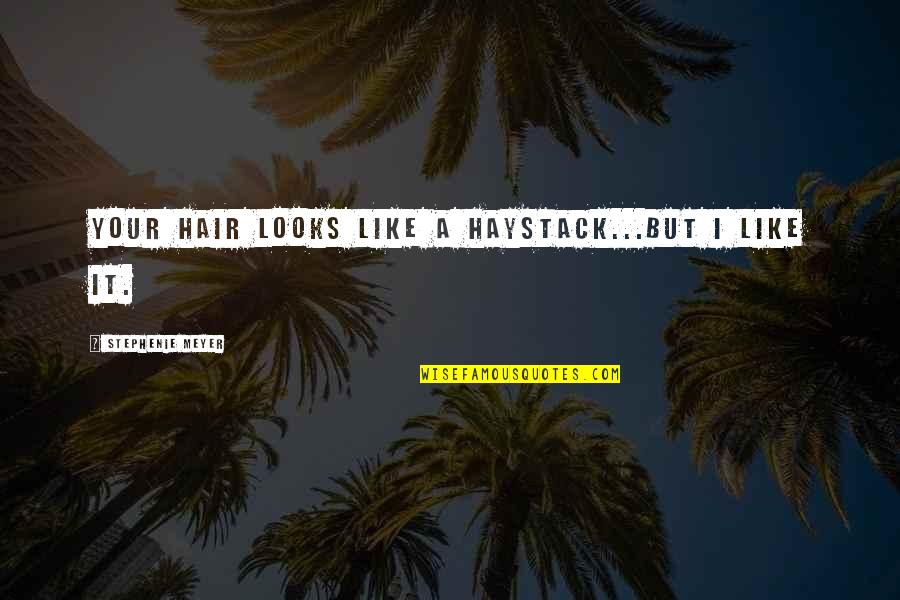 Tie Domi Quotes By Stephenie Meyer: Your hair looks like a haystack...but I like