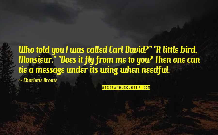 Tie Me Quotes By Charlotte Bronte: Who told you I was called Carl David?" Tie Me Quotes By Charlotte Bronte: Who told you I was called Carl David?"