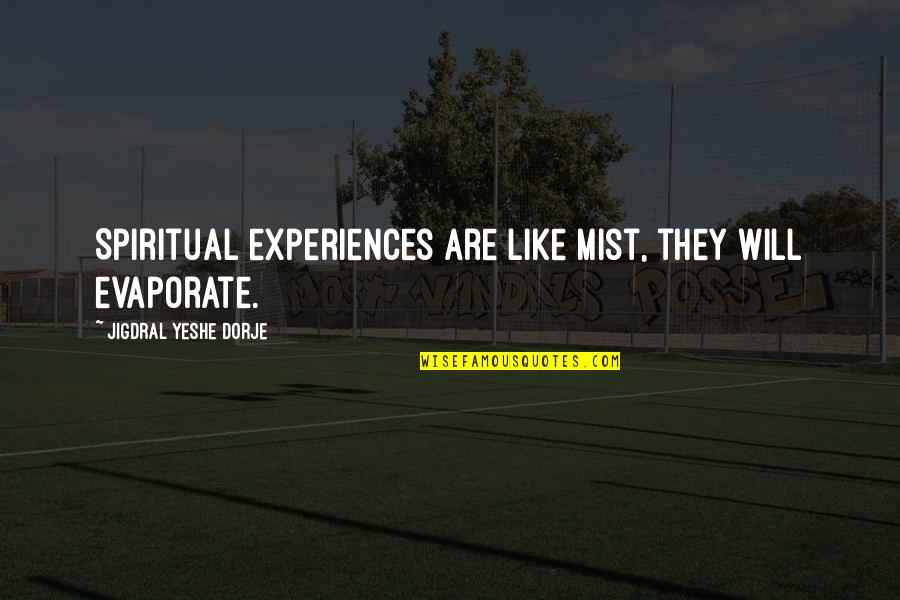 Tie Someone With Love Quotes By Jigdral Yeshe Dorje: Spiritual experiences are like mist, they will evaporate.