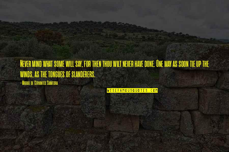 Tie Up Quotes By Miguel De Cervantes Saavedra: Never mind what some will say, for then