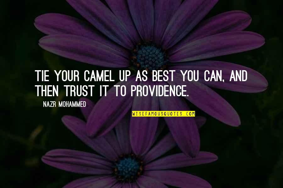 Tie You Up Quotes By Nazr Mohammed: Tie your camel up as best you can,