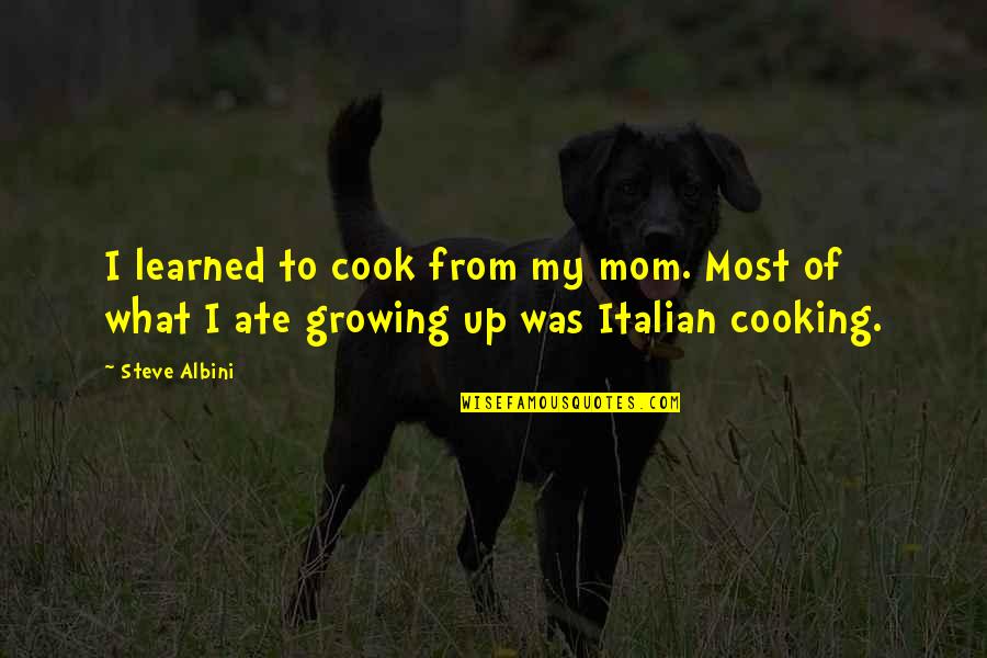 Tielle Love Quotes By Steve Albini: I learned to cook from my mom. Most