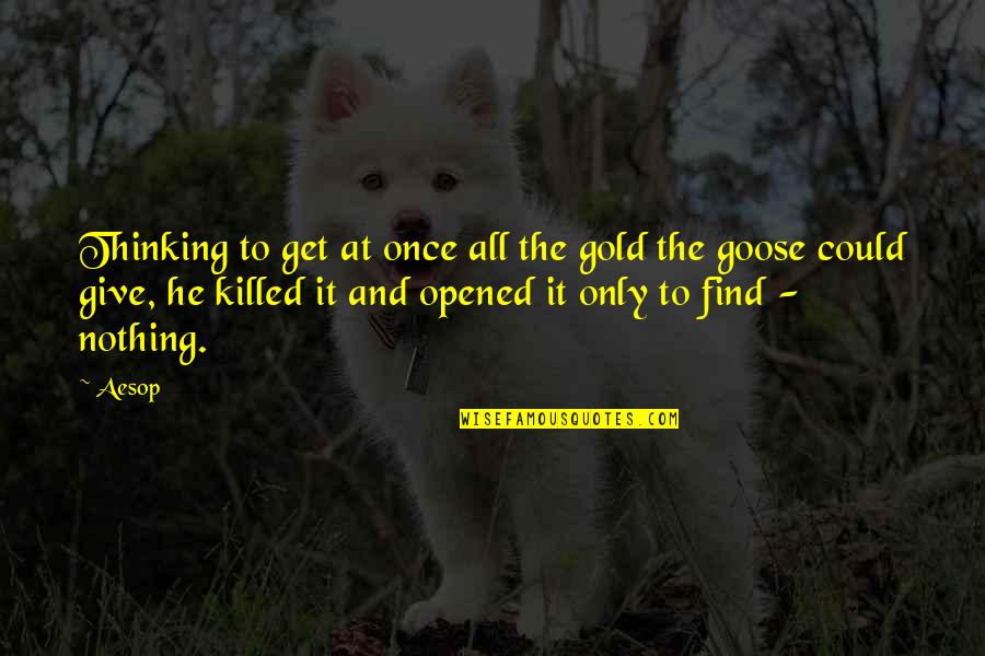 Tienimi Per Mano Quotes By Aesop: Thinking to get at once all the gold Tienimi Per Mano Quotes By Aesop: Thinking to get at once all the gold