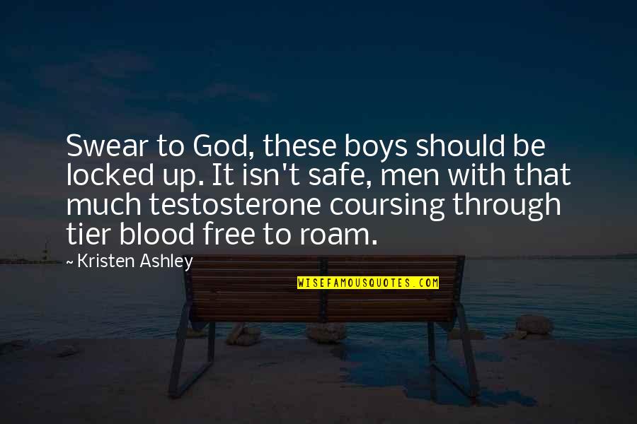 Tier 2 Quotes By Kristen Ashley: Swear to God, these boys should be locked