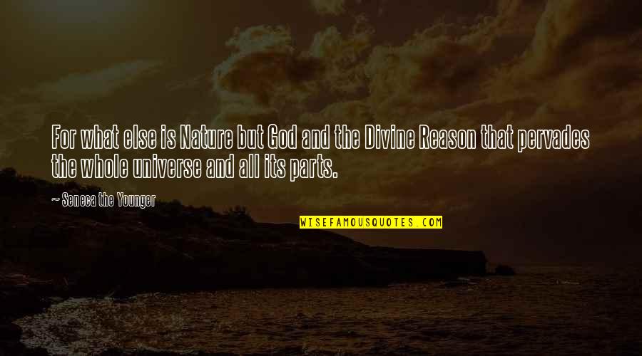 Tiera Mccowan Quotes By Seneca The Younger: For what else is Nature but God and