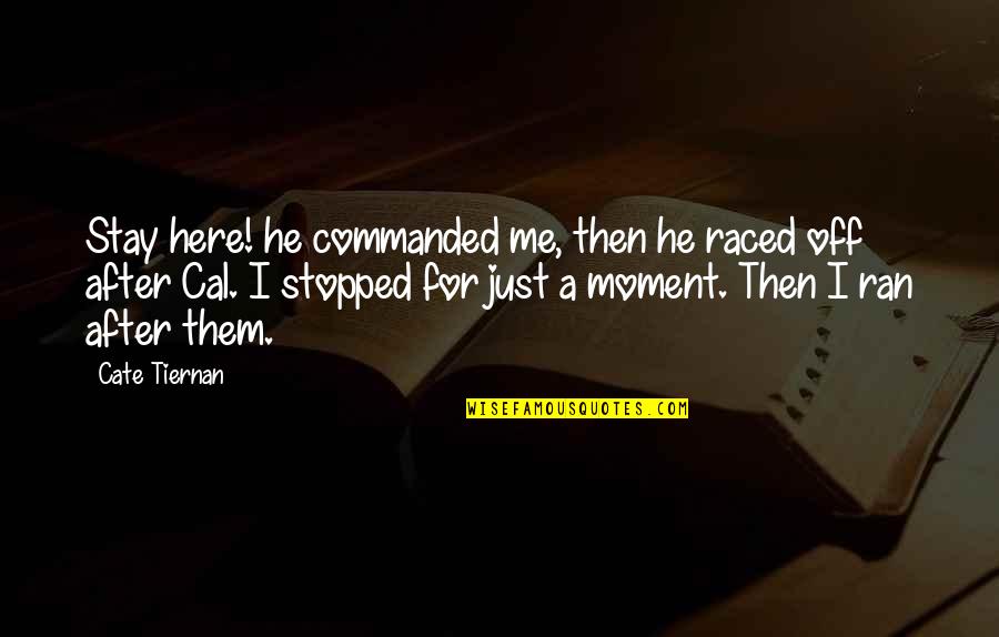 Tiernan Quotes By Cate Tiernan: Stay here! he commanded me, then he raced