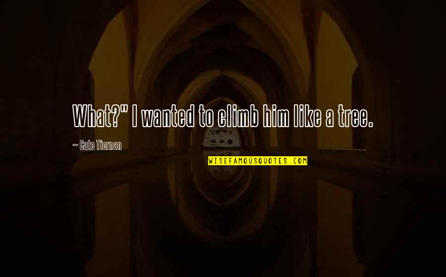Tiernan Quotes By Cate Tiernan: What?" I wanted to climb him like a