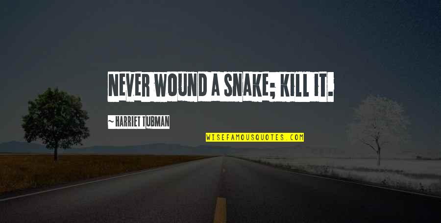 Tierney Kaufman Quotes By Harriet Tubman: Never wound a snake; kill it. Tierney Kaufman Quotes By Harriet Tubman: Never wound a snake; kill it.