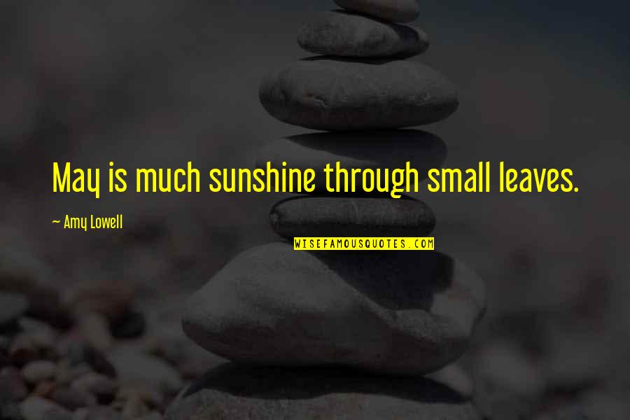 Tierra De Osos Quotes By Amy Lowell: May is much sunshine through small leaves. Tierra De Osos Quotes By Amy Lowell: May is much sunshine through small leaves.