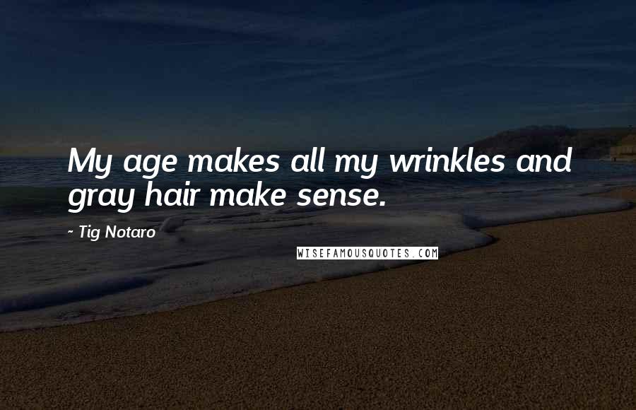 Tig Notaro quotes: My age makes all my wrinkles and gray hair make sense.