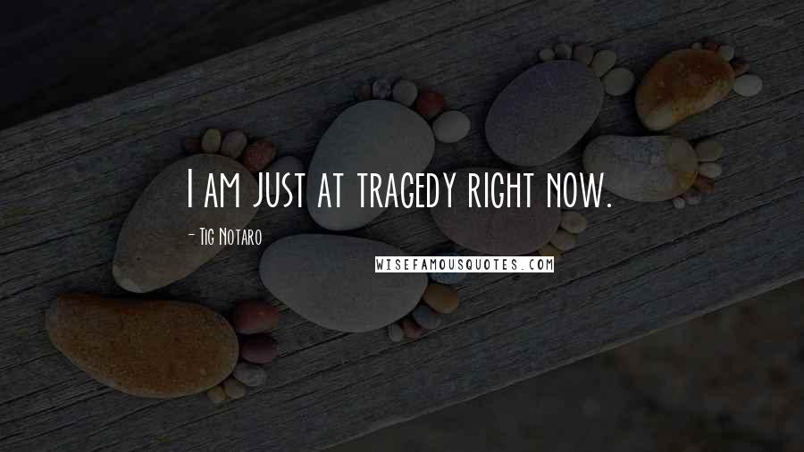 Tig Notaro quotes: I am just at tragedy right now.