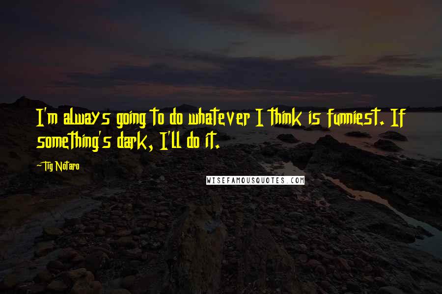 Tig Notaro quotes: I'm always going to do whatever I think is funniest. If something's dark, I'll do it.