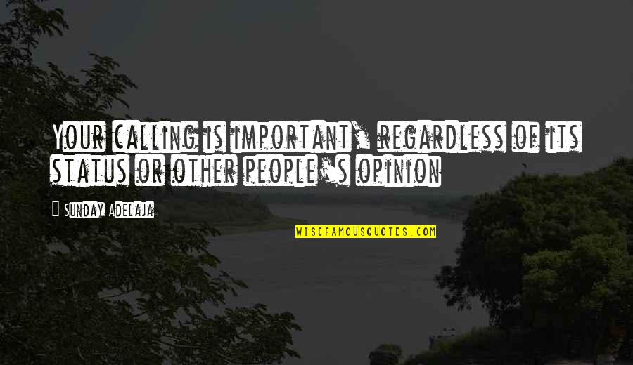 Tiganderket Quotes By Sunday Adelaja: Your calling is important, regardless of its status