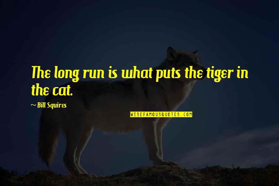 Tiger Cat Quotes By Bill Squires: The long run is what puts the tiger