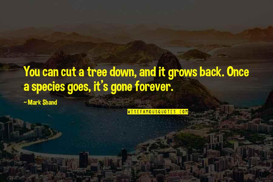 Tiger Is Home Promotek Reveal My Entries Quotes By Mark Shand: You can cut a tree down, and it