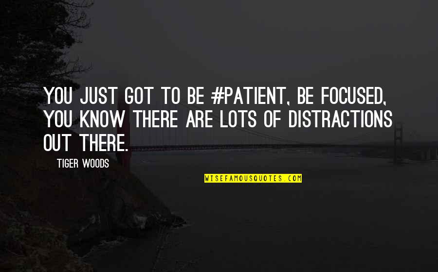 Tiger Out Of Quotes By Tiger Woods: You just got to be #patient, be focused, Tiger Out Of Quotes By Tiger Woods: You just got to be #patient, be focused,