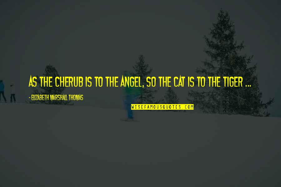 Tiger Quotes By Elizabeth Marshall Thomas: As the cherub is to the angel, so