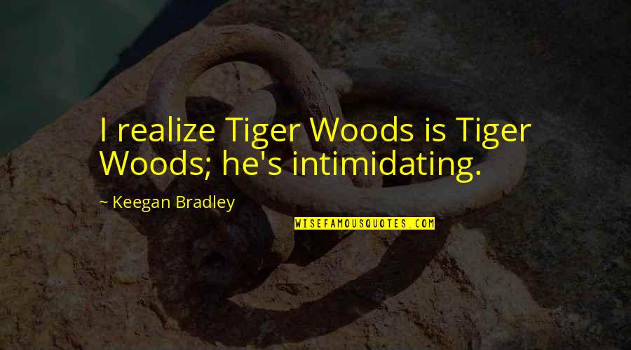 Tiger Quotes By Keegan Bradley: I realize Tiger Woods is Tiger Woods; he's