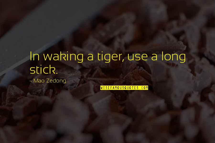 Tiger Tiger Quotes By Mao Zedong: In waking a tiger, use a long stick.