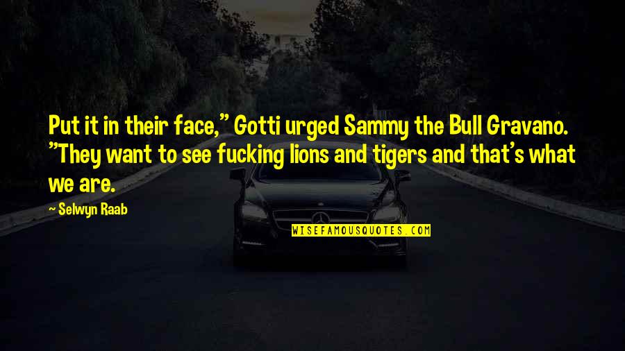 Tigers And Lions Quotes By Selwyn Raab: Put it in their face," Gotti urged Sammy