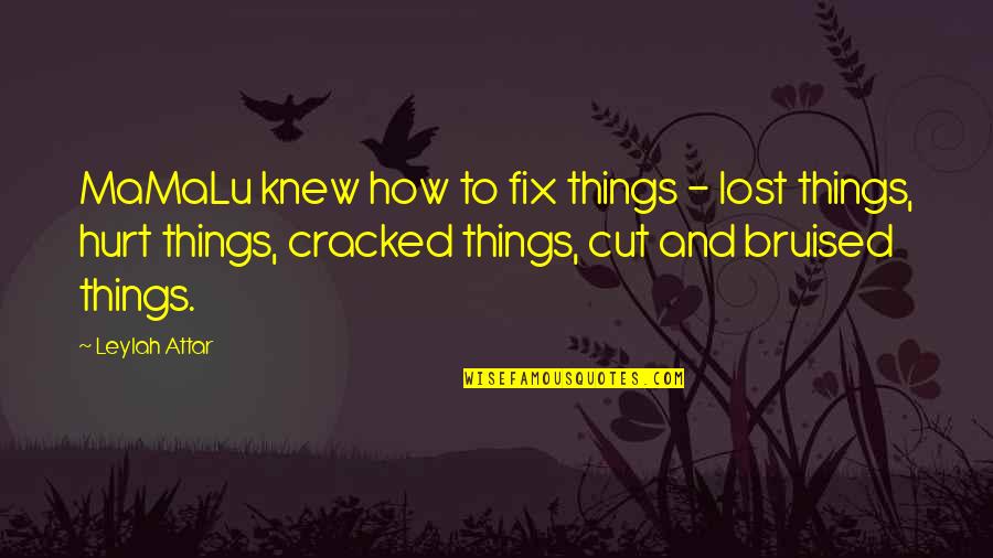 Tightest Senate Quotes By Leylah Attar: MaMaLu knew how to fix things - lost Tightest Senate Quotes By Leylah Attar: MaMaLu knew how to fix things - lost
