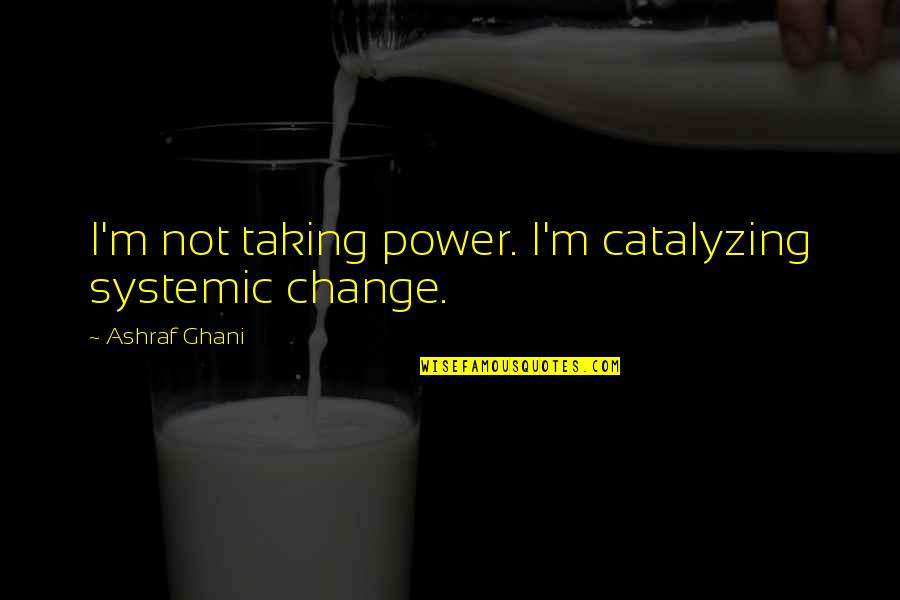 Tigrillo De Verde Quotes By Ashraf Ghani: I'm not taking power. I'm catalyzing systemic change. Tigrillo De Verde Quotes By Ashraf Ghani: I'm not taking power. I'm catalyzing systemic change.