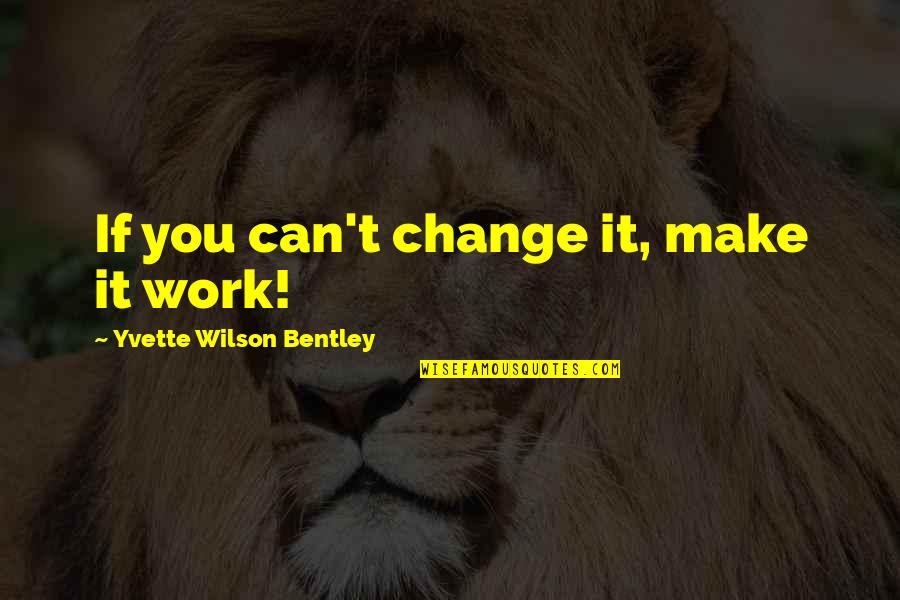 Tihana Politeo Quotes By Yvette Wilson Bentley: If you can't change it, make it work! Tihana Politeo Quotes By Yvette Wilson Bentley: If you can't change it, make it work!