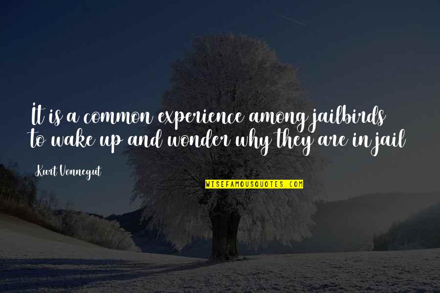 Tikait Quotes By Kurt Vonnegut: It is a common experience among jailbirds to Tikait Quotes By Kurt Vonnegut: It is a common experience among jailbirds to
