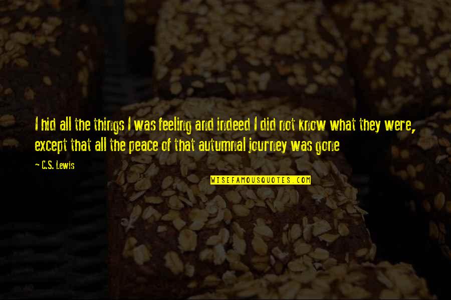 Tikamoungus Quotes By C.S. Lewis: I hid all the things I was feeling