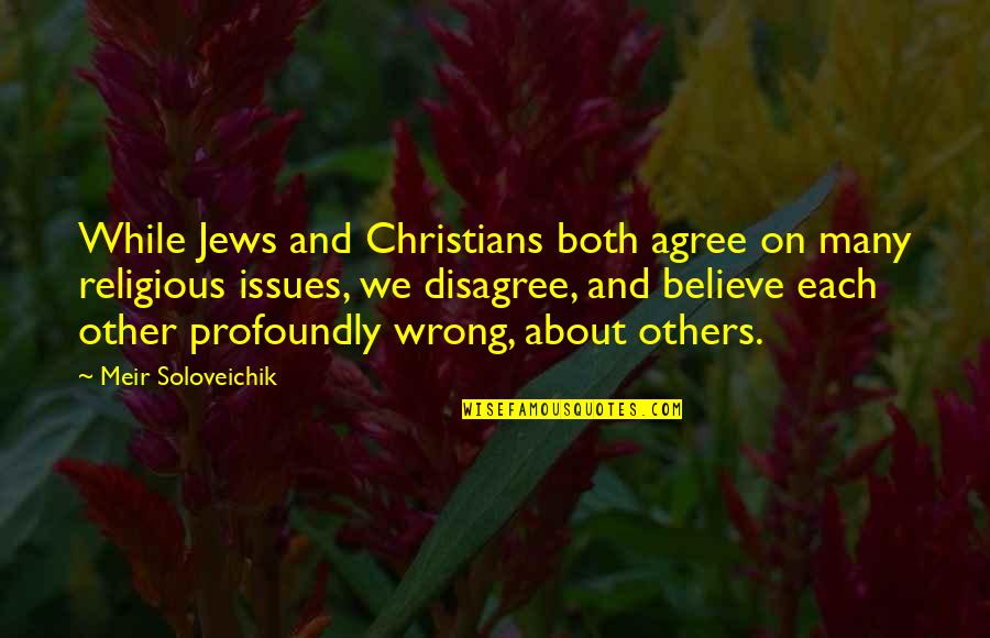 Tikbalang Pen Quotes By Meir Soloveichik: While Jews and Christians both agree on many
