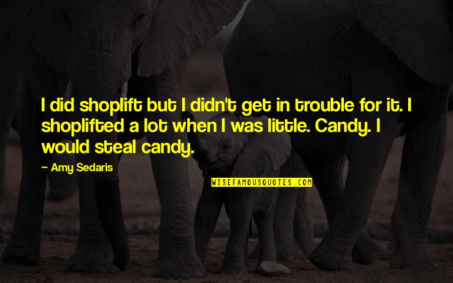 Tikriausiai Quotes By Amy Sedaris: I did shoplift but I didn't get in Tikriausiai Quotes By Amy Sedaris: I did shoplift but I didn't get in