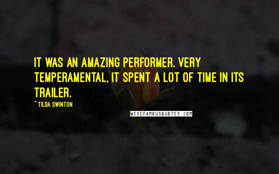 Tilda Swinton quotes: It was an amazing performer. Very temperamental, it spent a lot of time in its trailer.