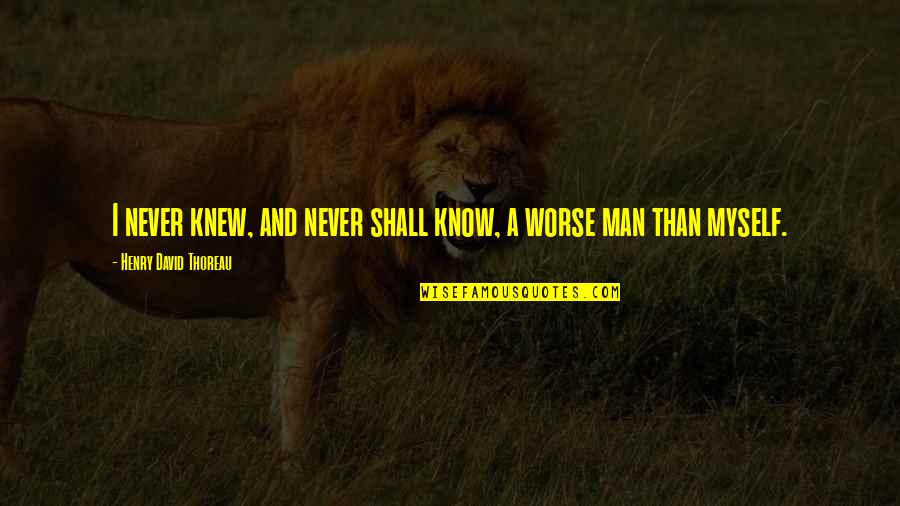 Tilkin Quotes By Henry David Thoreau: I never knew, and never shall know, a