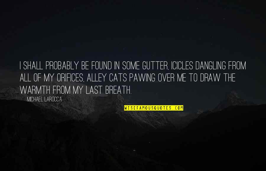 Till Last Breath Quotes By Michael LaRocca: I shall probably be found in some gutter, Till Last Breath Quotes By Michael LaRocca: I shall probably be found in some gutter,